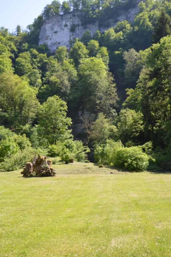 Moulin De La Cuse - Chambre L'Anse Cusance Esterno foto