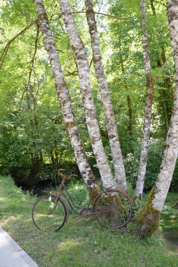 Moulin De La Cuse - Chambre L'Anse Cusance Esterno foto